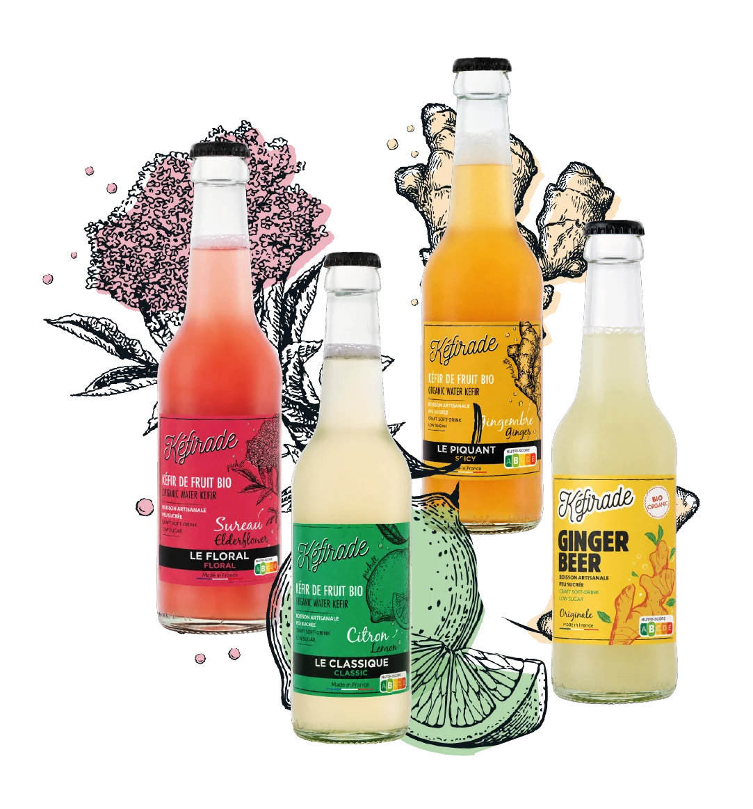 Gamme kéfirade ambiant