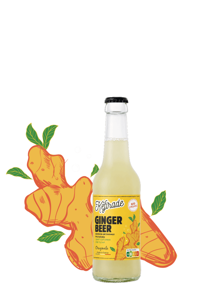 Kéfirade Ginger Beer ambiant